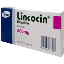 lincomycin pills